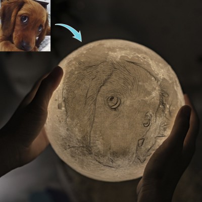Personalizzato Moon Lamp 3D Photo Moonlight Touch Home Decor per Pet Dog Cat